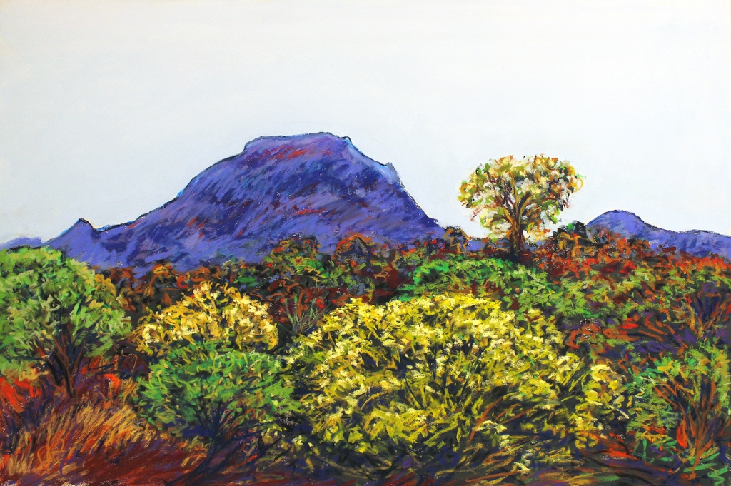 Australian Pastel Artist